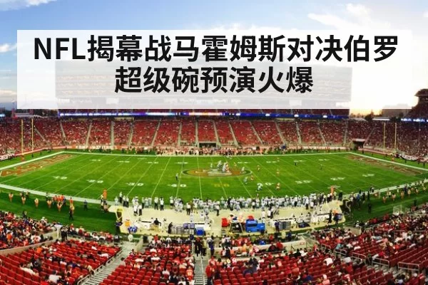 NFL揭幕战马霍姆斯对决伯罗超级碗预演火爆