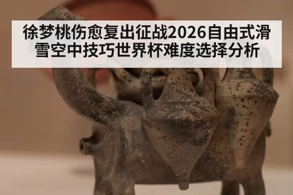 徐梦桃伤愈复出征战2026自由式滑雪空中技巧世界杯难度选择分析